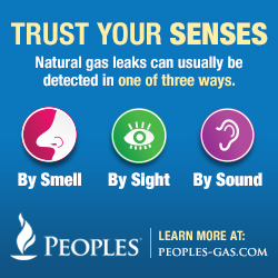 Trust your senses image
