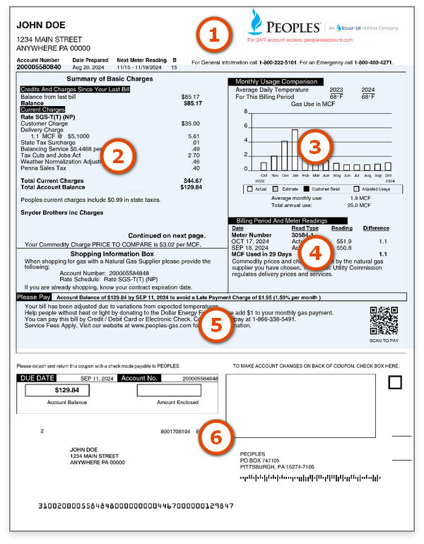 Sample Gas Bill