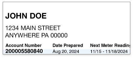 Detail of the account information section of a Peoples Gas bill