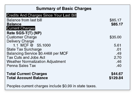 Detail of the basic charges section of a Peoples Gas bill