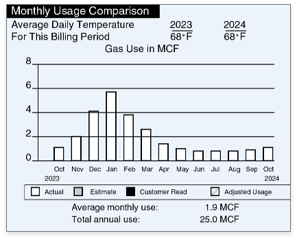 Detail of the usage section of a Peoples Gas bill